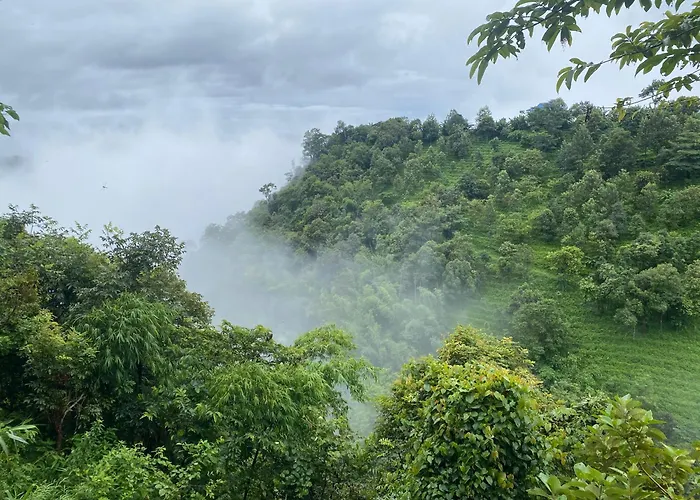 One Villa Coffee Farm Stay 1