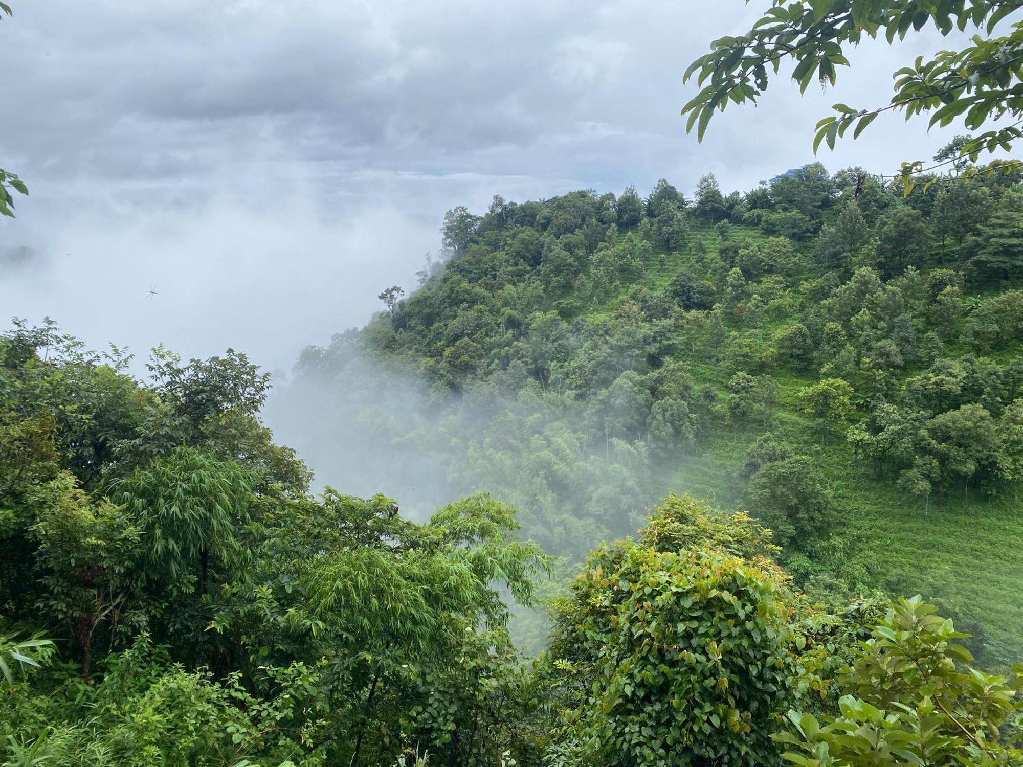 One Coffee Farm 1 *